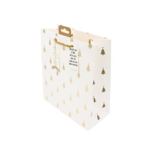 Papierová darčeková taška, kolekcia Clairefontaine od Eurowrap, 33x26,5 cm, 14 cm vlnovec, Brazi emboss 112258700 - Darčekové balenie