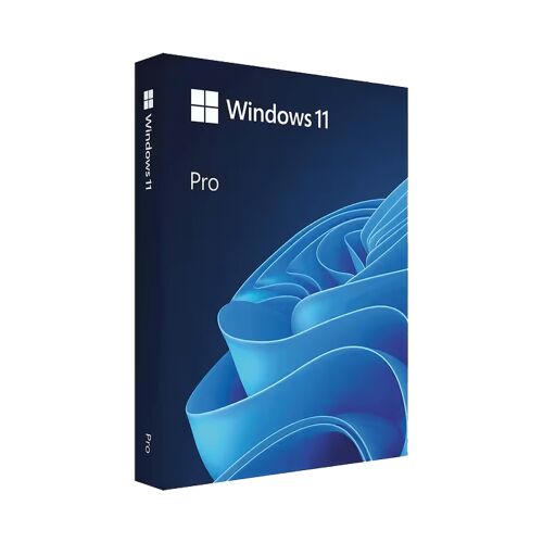 Microsoft Windows 11 Pro USB - 2 Aktivierungslizenzen