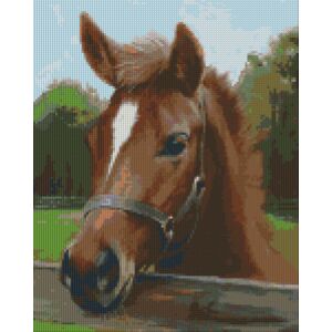 Pixel szett 9 normál alaplappal, színekkel, ló (809140) 112553787 - Művészet & Hobbi