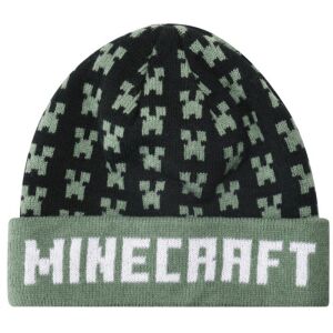Czapka zimowa dziecięca Minecraft Creeper - Minecraft