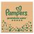 Pampers Premium Care месечен пакет пелени 2-5 кг Новородено 1 (156 бр.) 146266031