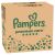 Pampers Premium Care mjesečni paket pelena 2-5kg Newborn 1 (156 kom)
 146266031