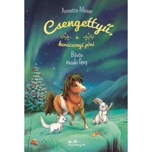 Csengettyű a karácsonyi póni 3. 122854111 - Gyermek & Ifjúsági könyv