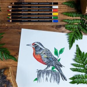 STAEDTLER Lumocolor tartós jelölőceruzák madárrajz, 6 különböző szín, vízálló - Toll & Ceruza