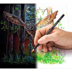 Staedtler színes ceruzarajz egy bagolyról az erdőben - Toll & Ceruza