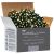 Springos 750 LED warm white Christmas lights in box with specifications