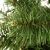 Springos CT0180 140 cm artificial Christmas tree close-up of branches