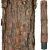 Springos CT0180 140 cm artificial Christmas tree trunk with bark detail
