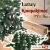 Royal Trees Diamond Fir Christmas Tree easy assembly and compact storage