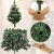 Royal Trees Diamond Fir Christmas Tree assembly details