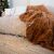 Springos Brown Fluffy Blanket in Christmas Setting
