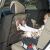 MNC Car Seat Back Protector in Use - Transparent Kick Mat for Kids