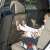 Transparent car seat back protector, protects your car seat from dirt and spills, easy to clean, universal fit