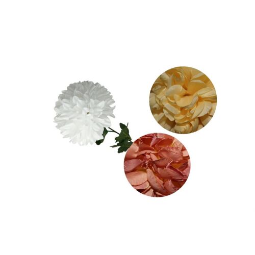 KRIZANTÉM 1 FEJES 1DB 113087780