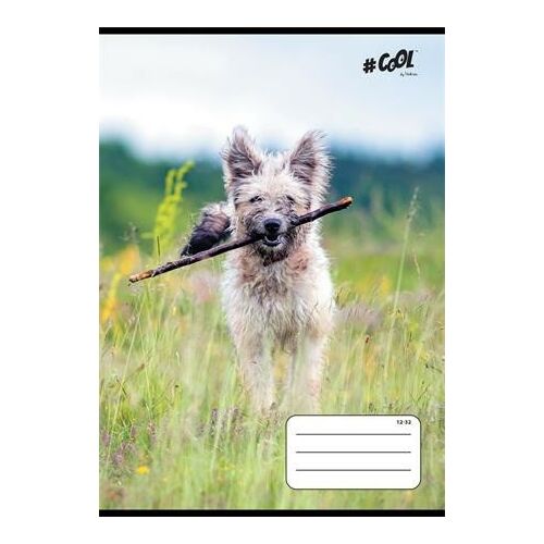 COOL BY VICTORIA FÜZET A/5 KOCKÁS DOGS 1DB