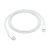 APPLE USB-C to Lightning Cable 1m (P) 144945808