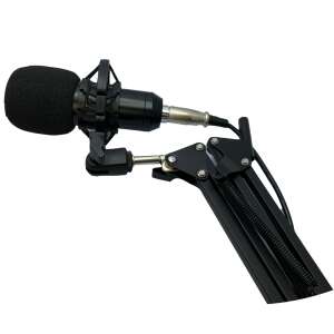 Professional condenser microphone with shock mount - Microphone