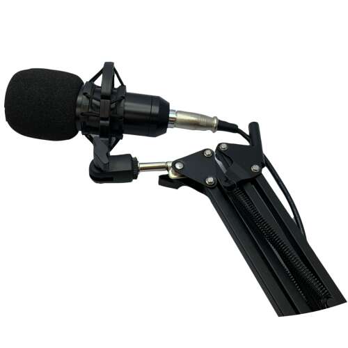 Professional condenser microphone with shock mount