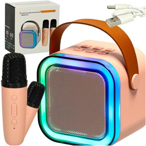 Karaoke set with pink Bluetooth speaker, two microphones, LED lights, and USB cable
