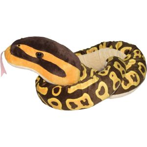 Wąż pytona kulistego