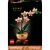 LEGO® Botanicals LEGO® Botanicals Mini orchidea 10343 139619152