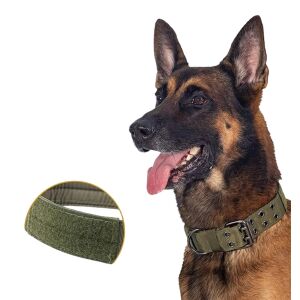 Taktický zelený obojok pre psov s nastaviteľnou dvojradovou XL veľkosťou obojku pre psov 113443002 - Chov hlodavcov