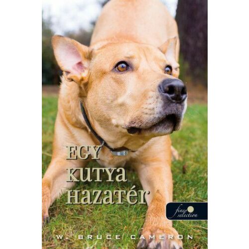 Egy kutya hazatér (Egy kutya hazatér 1.) 122850255