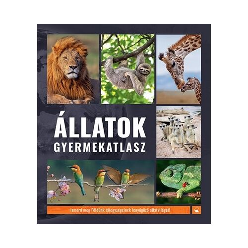 Állatok gyermekatlasz Gyermekeknek szóló állatvilág atlasz könyvborító oroszlánnal, lajhárral, zsiráfokkal, szurikátákkal, madarakkal és kaméleonnal