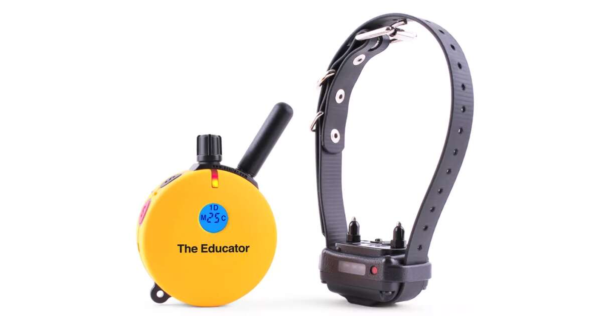 ECollar Educator ET400 kiképző kutya nyakörv smart Pepita.hu