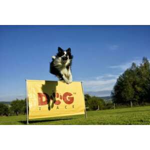 Dogtrace Kiképző akadály kutyáknak 90737018 Tréning eszköz kisállatoknak