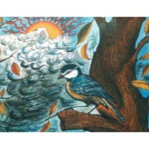 A cinege cipője Diafilm 146069691 - Diafilm