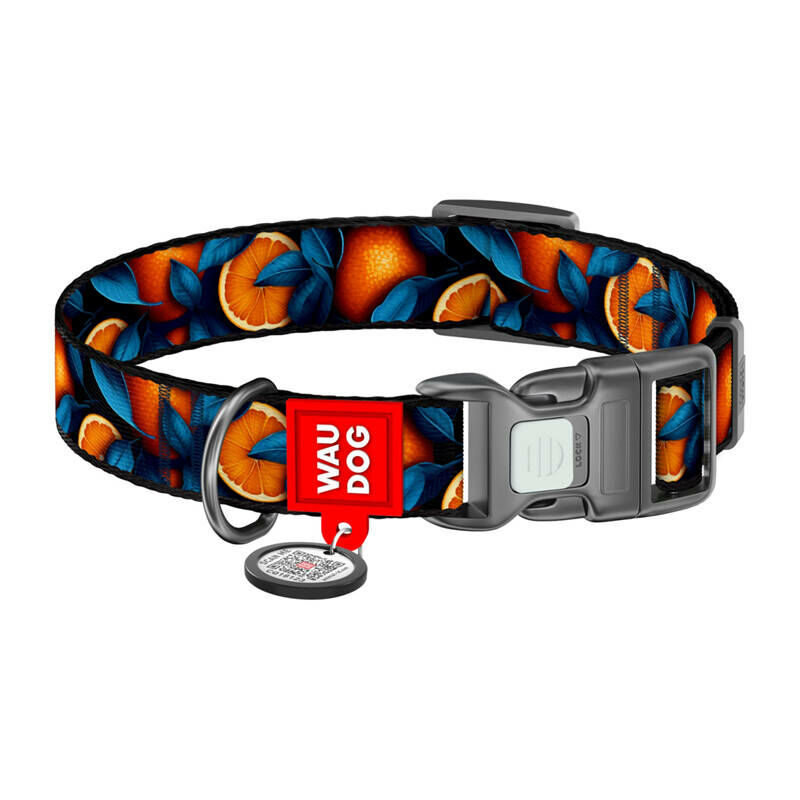 Waudog "Oranges" nylon dog collar with QR code, size S...