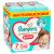 Pampers Premium Care Pants 2 havi Pelenkacsomag 17kg+ Junior 7 (160db) + Ajándék Törlőkendő 145317218