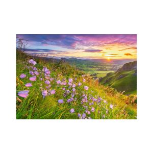 Harebells at Sunrise krajobrazowy obraz układanki - Puzzle
