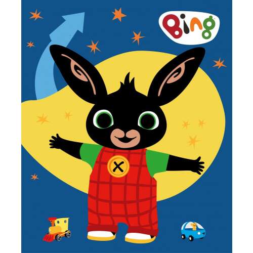 Bing polár takaró 100*140cm 98218766