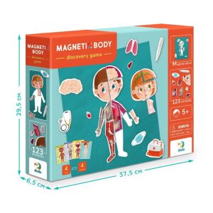 Joc magnetic de descoperire a corpului de la Dotto, jucărie educativă pentru copii pentru a învăța despre anatomia umană, include tablă magnetică, cărți și piese - Jocuri stiintifice si exploratori