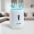 Bewello electric dehumidifier, removing moisture from the air, white, compact, for home or office