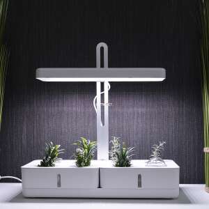 Ledvance Garden LED grow light with automatic timer, indoor gardening - Grow Light