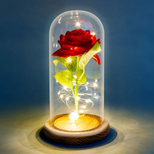 Örökrózsa LED-del üvegkupola alatt