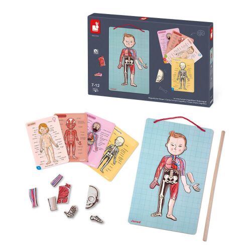 Janod Emberi test mágneses kirakó táblával, kártyákkal és mágneses darabokkal