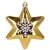 Gold Christmas tree ornament shaped like a star with white snowflake design