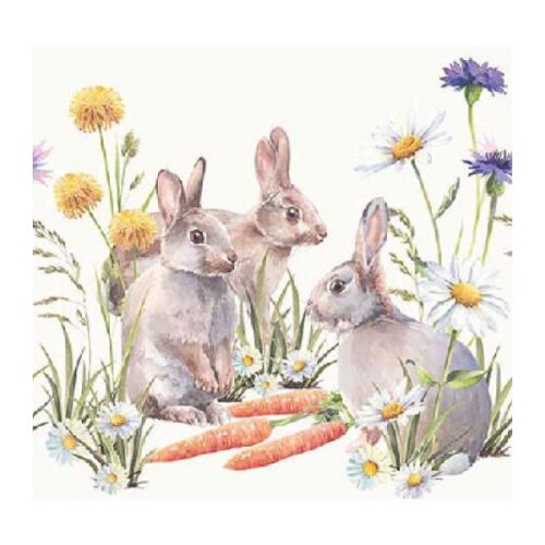 Ambiente Carrot treat papírszalvéta 25x25cm, 20db-os 129985898