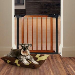 Springos safety gate in use with dog, black and brown - Safety Gate