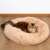 Springos Donut Dog and Cat Bed, Cream, 40 cm, with a Siberian cat relaxing in it