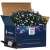 Springos 1000 LED fairy lights, 50m, cold white, IP44, with power adapter and packaging
