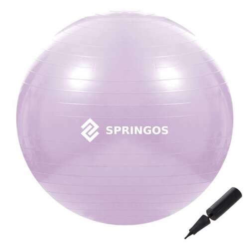 65 cm gymnastická lopta, fialová, s pumpou