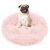 Happy pug sitting on a Springos pink plush pet bed