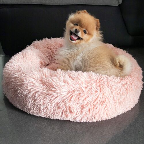 Happy dog relaxing in a Springos pink plush pet bed