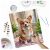 Painting the Massido Corgi Dog Paint by Numbers Kit, creative hobby