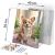 Massido Number Painting Set 40x50cm - Corgi dog 114319723